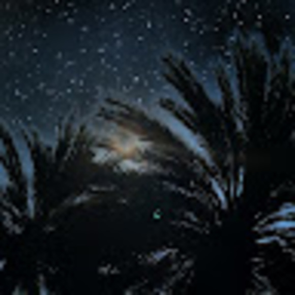 Meet your Posher, Jeremiah - Picture 1 of 1